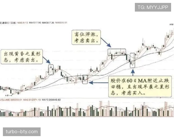 沃特金斯与瓦尔迪的草根逆袭路径差异：机制、机遇与能力断点分析